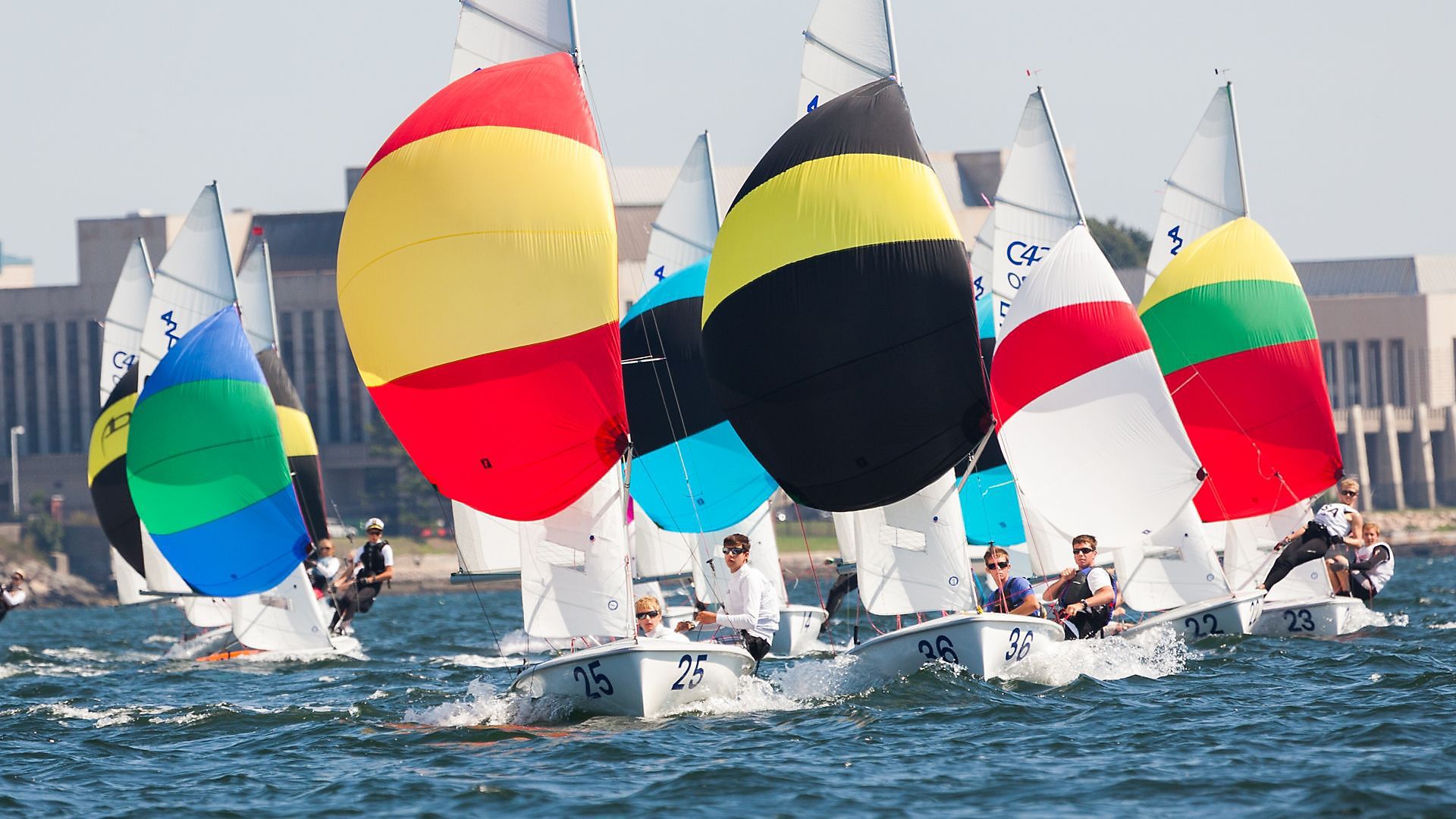 A group of sailboats are racing in the water.
