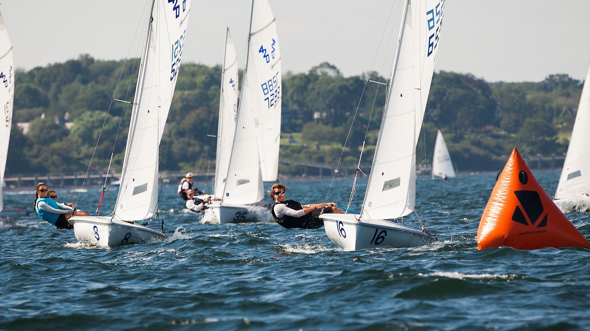 A group of sailboats are racing in the water and one of them has the number 46 on the sail