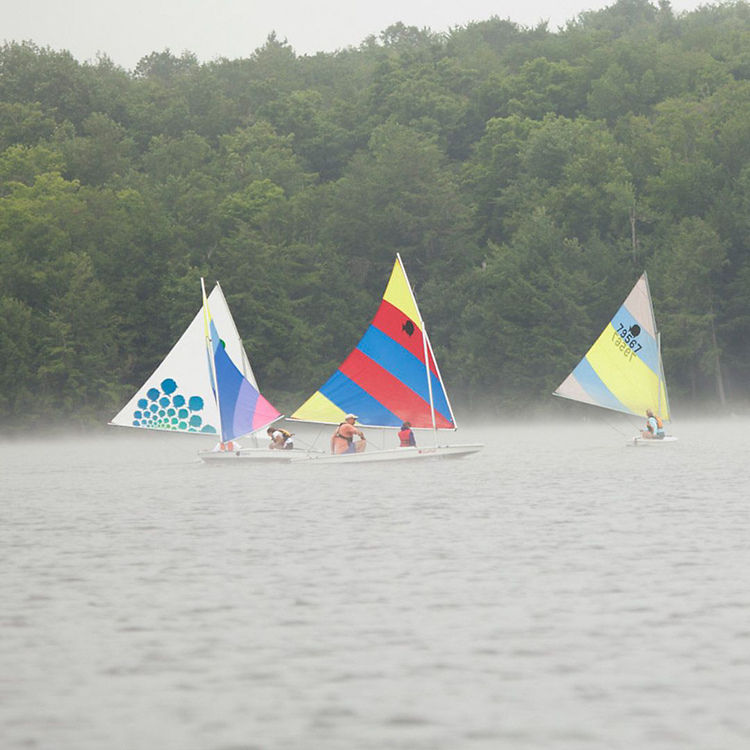 A group of sailboats are floating on a body of water
