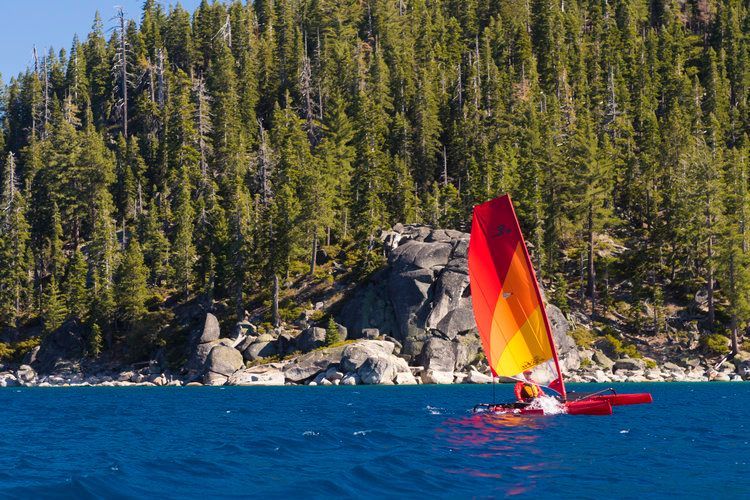 A person is sailing a boat on a lake with trees in the background.