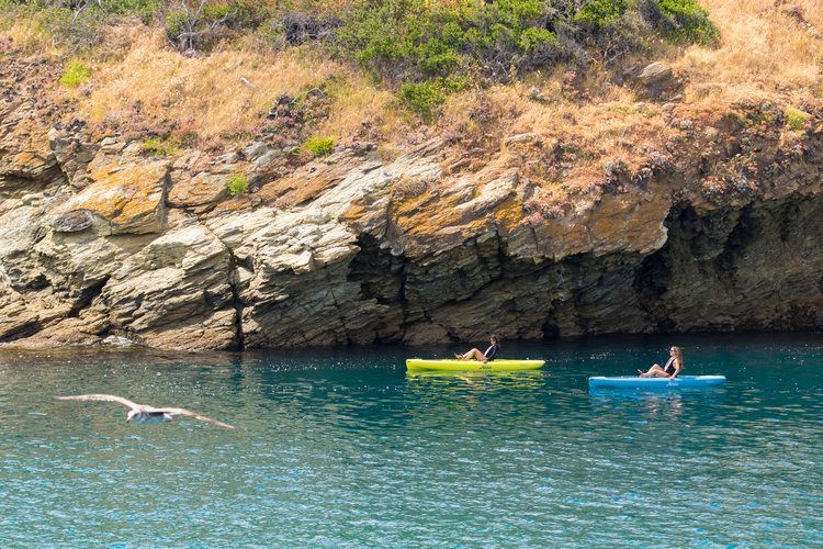 A seagull is flying over two people in kayaks in the ocean.