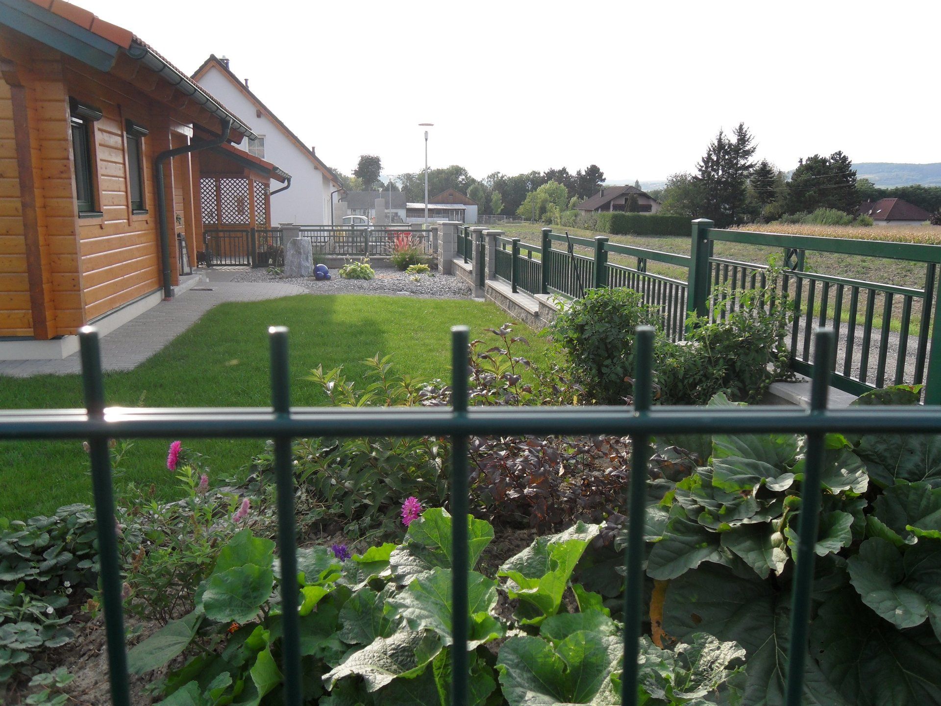 Ein Zaun umgibt einen üppigen grünen Hof mit einem Haus im Hintergrund