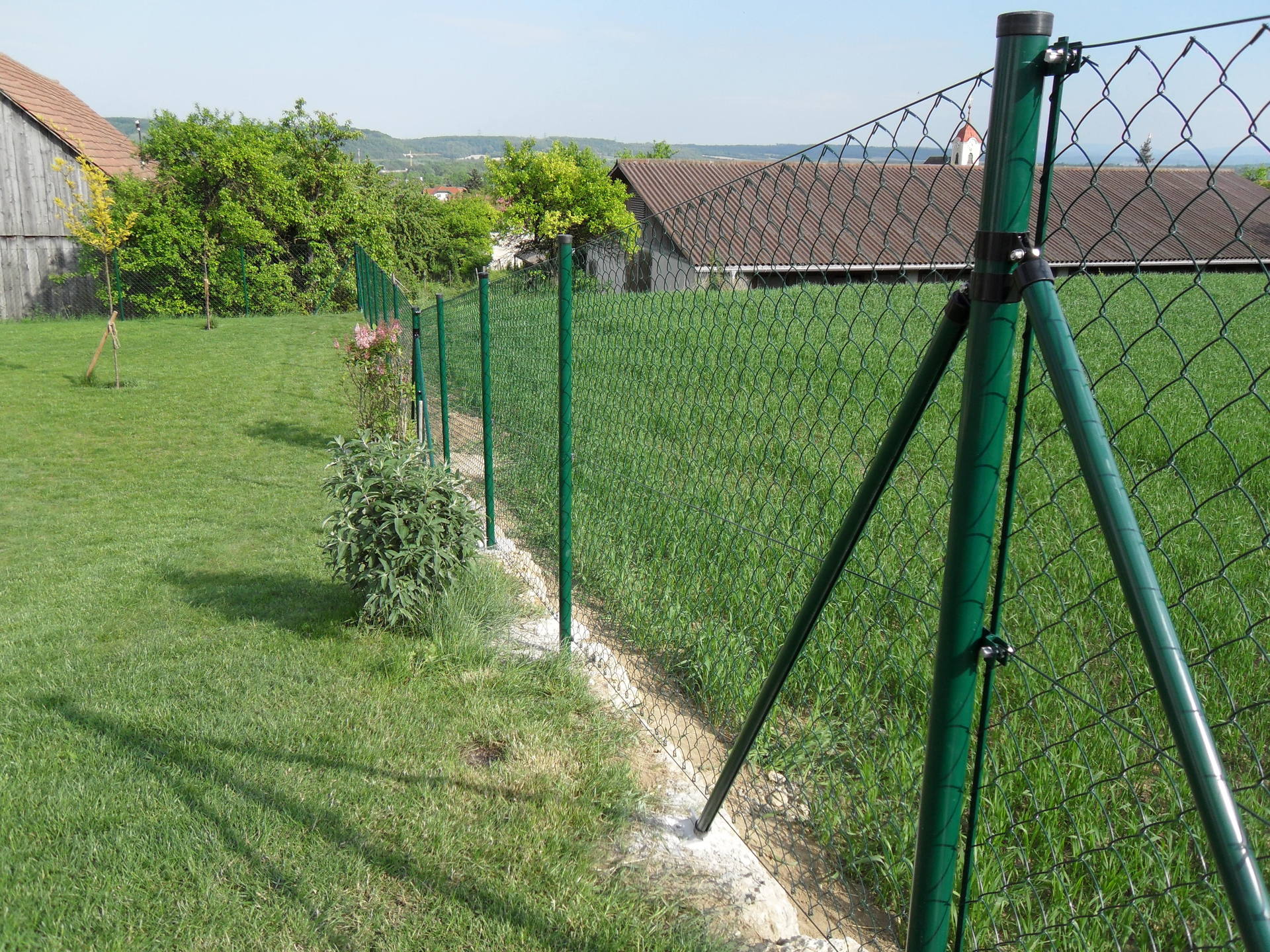 Ein grüner Maschendrahtzaun umgibt ein üppiges grünes Feld