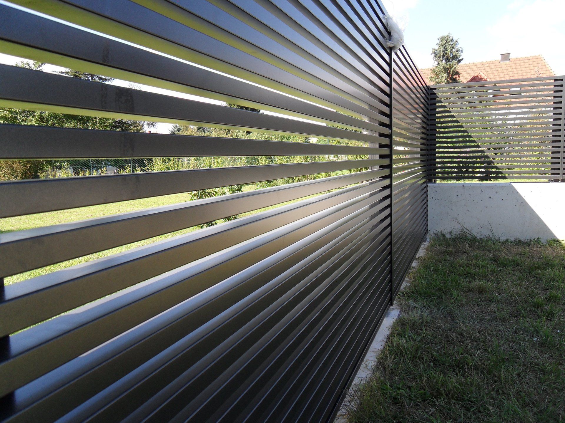 Ein schwarzer Zaun umgibt einen üppigen grünen Hof