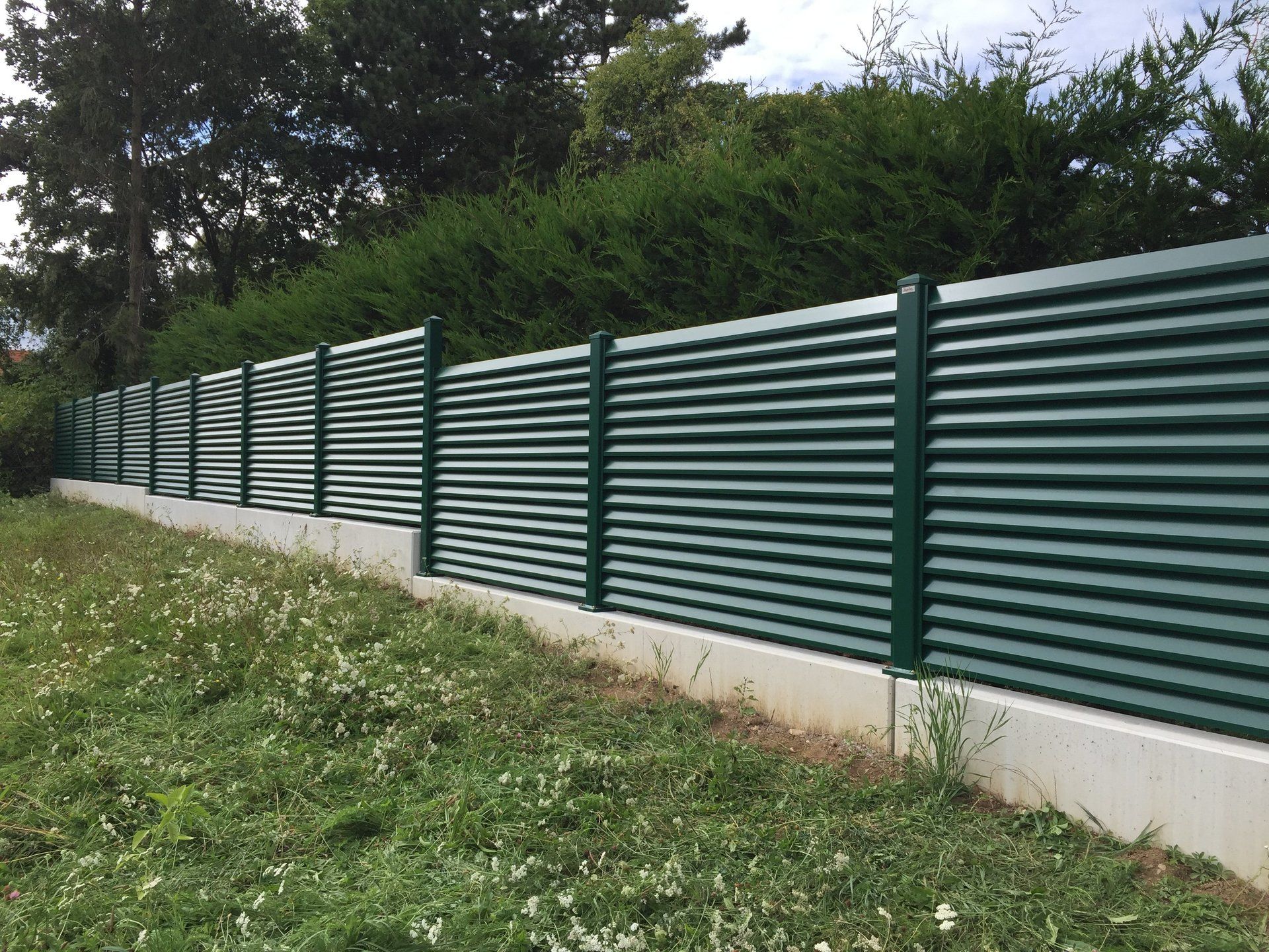 Ein grüner Zaun umgibt eine Wiese mit Bäumen im Hintergrund.