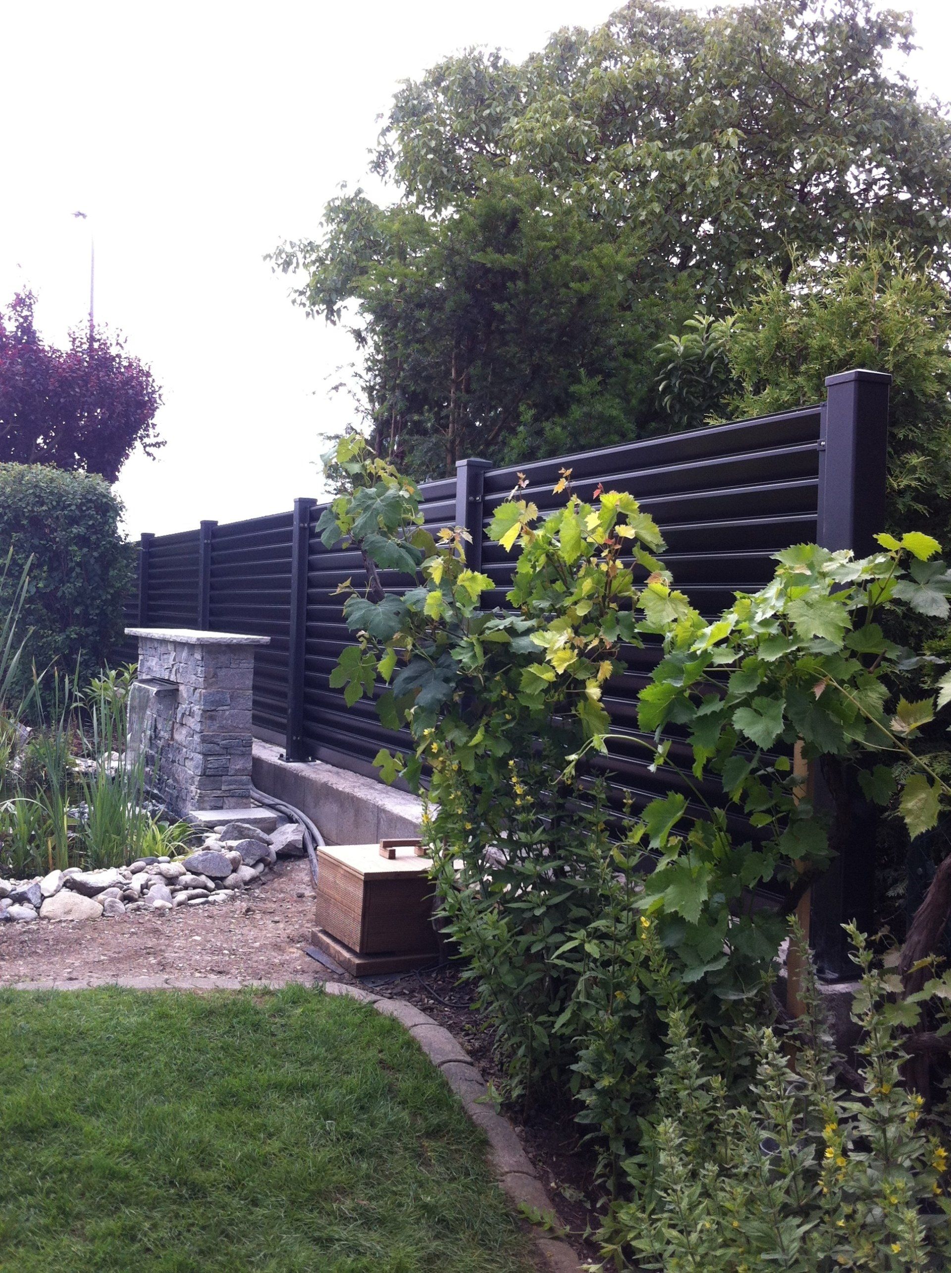 Ein schwarzer Zaun umgibt einen üppigen grünen Garten