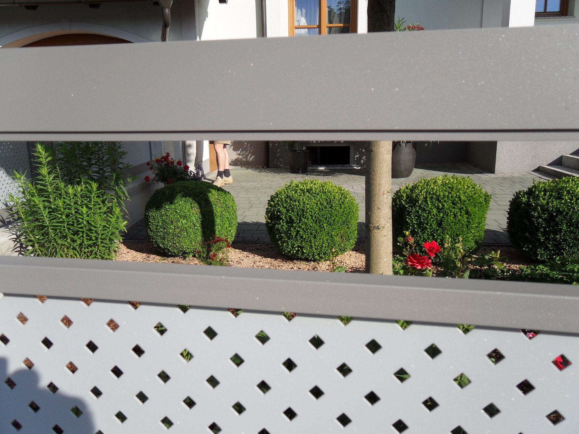 Ein Zaun mit ein paar Büschen und Blumen darauf