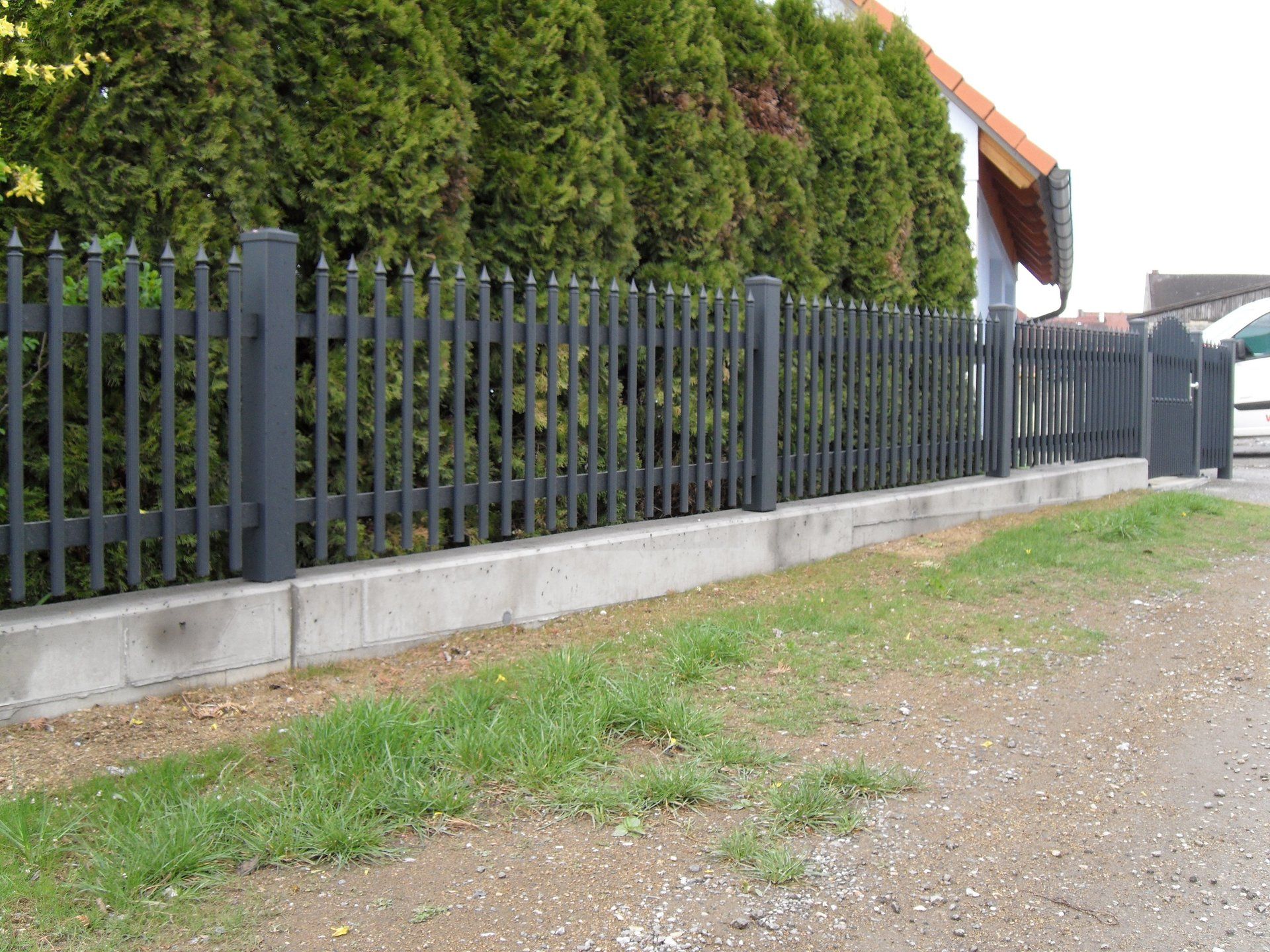 Ein Zaun mit vielen Bäumen dahinter