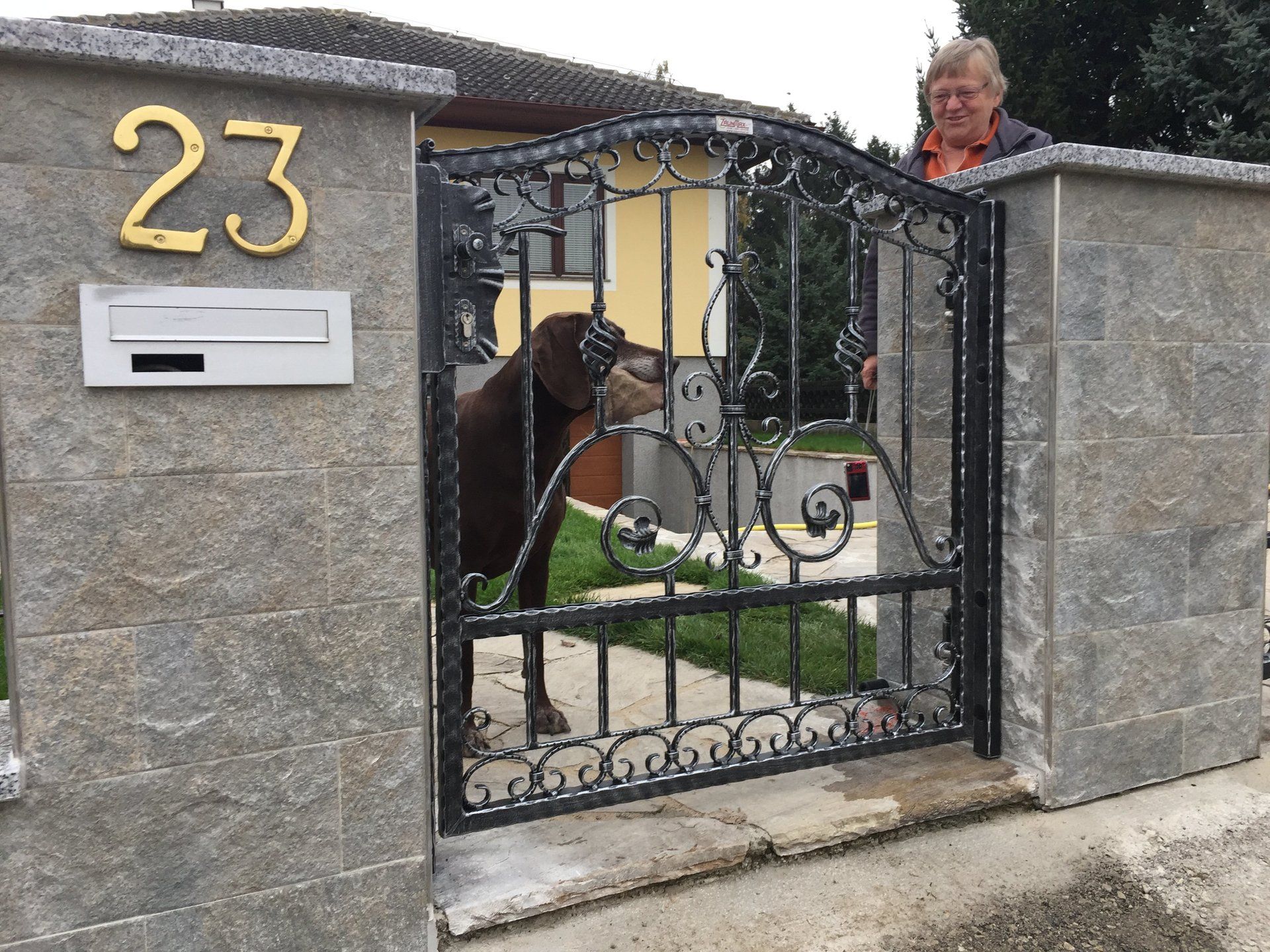 Ein Hund steht vor einem Tor mit der Nummer 23 darauf