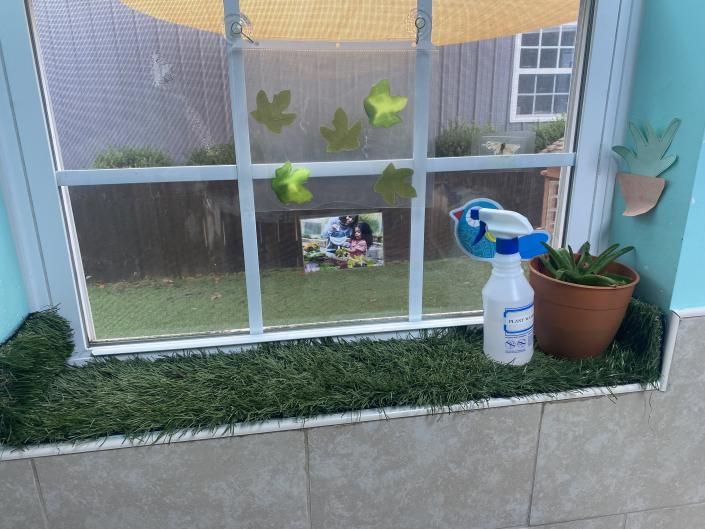 Mini greenhouse display with toy bird sprayer, potted plant, and small decorations on a shelf