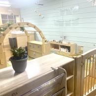 Wooden pet play area with arch, ramp, railing, and a potted plant on a counter in a bright room