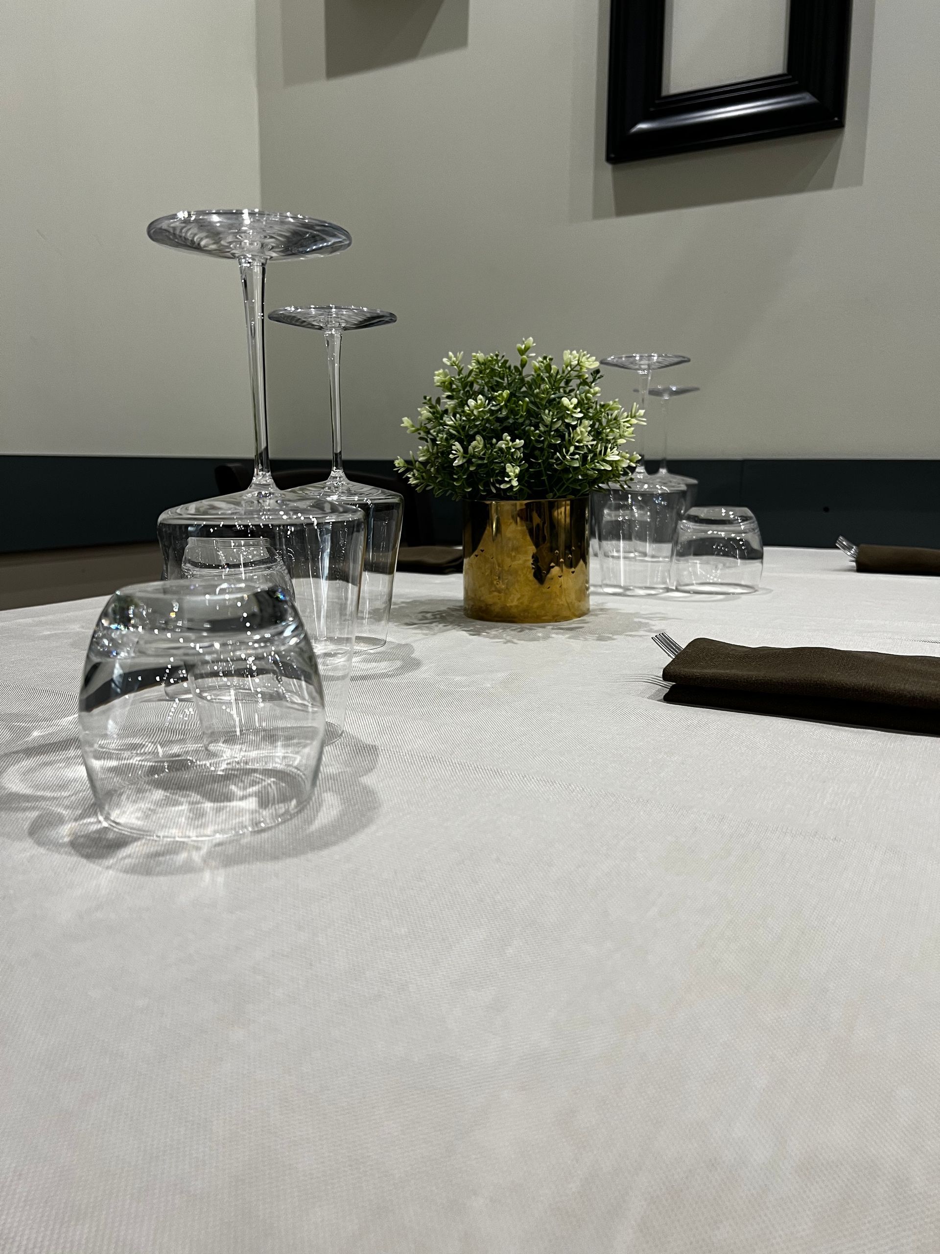 Un tavolo con bicchieri da vino e una pianta in vaso sopra.