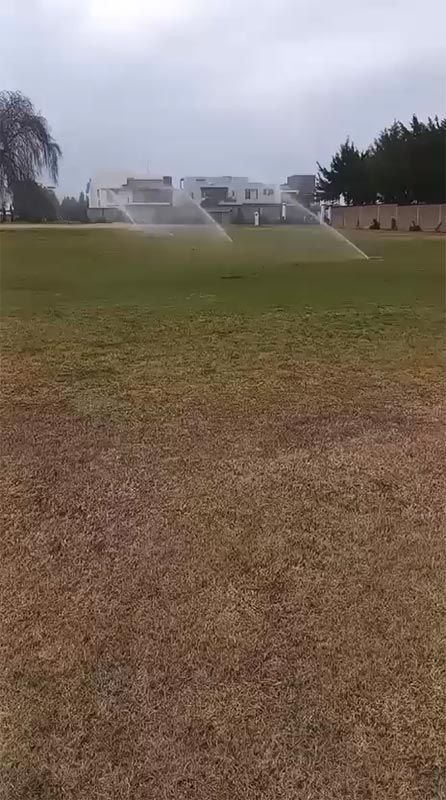 COMERCIALIZADORA BACEL