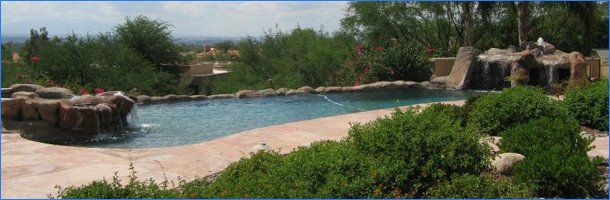 Pool Resident — Pool with Rock in the Side in Tucson, AZ