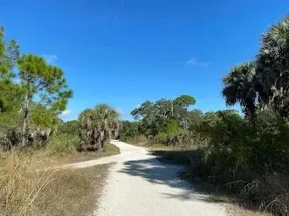 Hvac-Contractor-Bradenton-A dirt road going through a lush green forest.