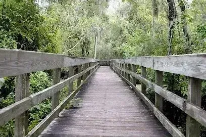 Hvac-Contractor-Bradenton-Wooden boardwalk through a lush green forest, flanked by railings.