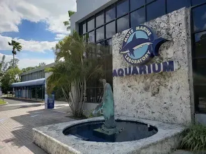 Hvac-Contractor-Bradenton-There is a fountain in front of the aquarium.