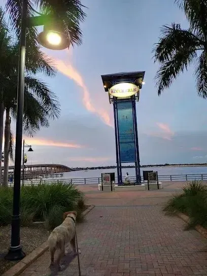 Hvac-Contractor-Bradenton-A dog standing on a sidewalk next to a tower