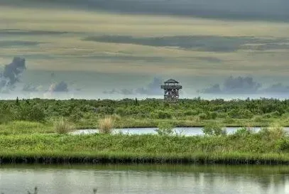 Hvac-Contractor-Bradenton-A tower in the middle of a swamp with a cloudy sky in the background.