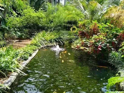 Hvac-Contractor-Bradenton-There is a pond with fish in it in the middle of a garden.