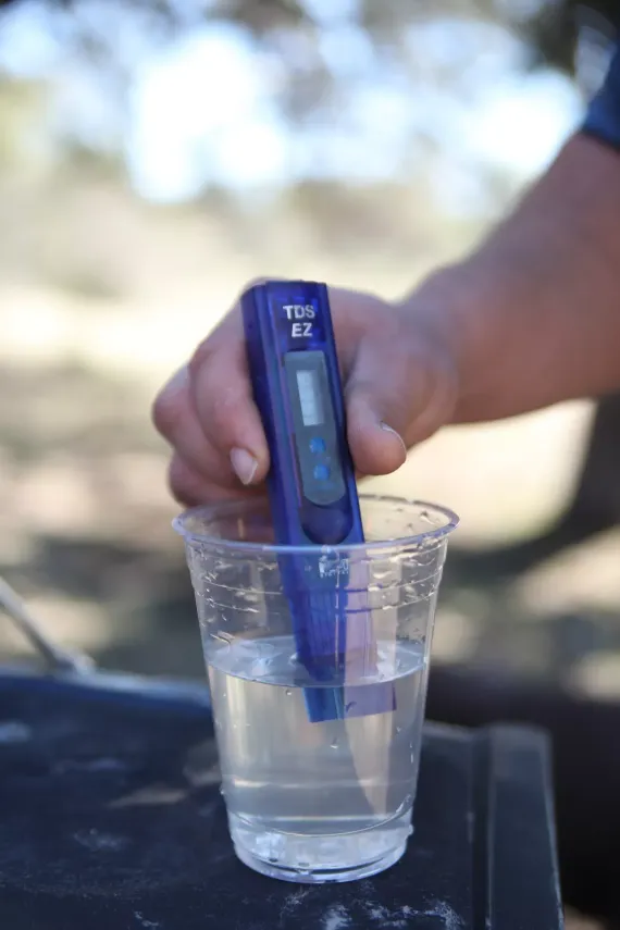 Person holding a blue TDS meter in a clear cup of water outdoors.