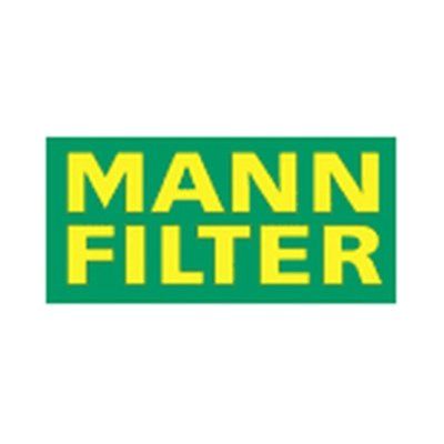 Mann filter - LOGO