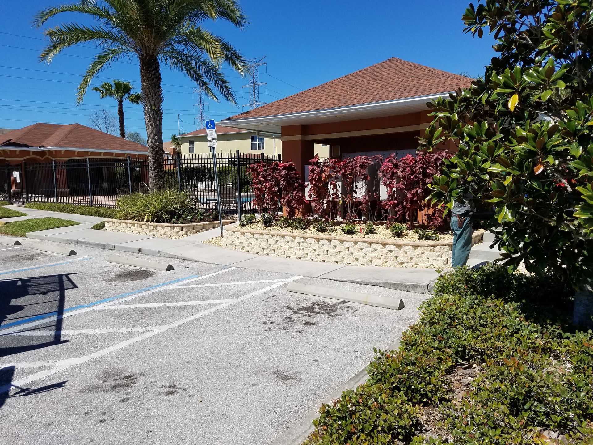 A pavilion with red shrubs stands next to a gravel parking lot and a tall palm tree under a bright blue sky.