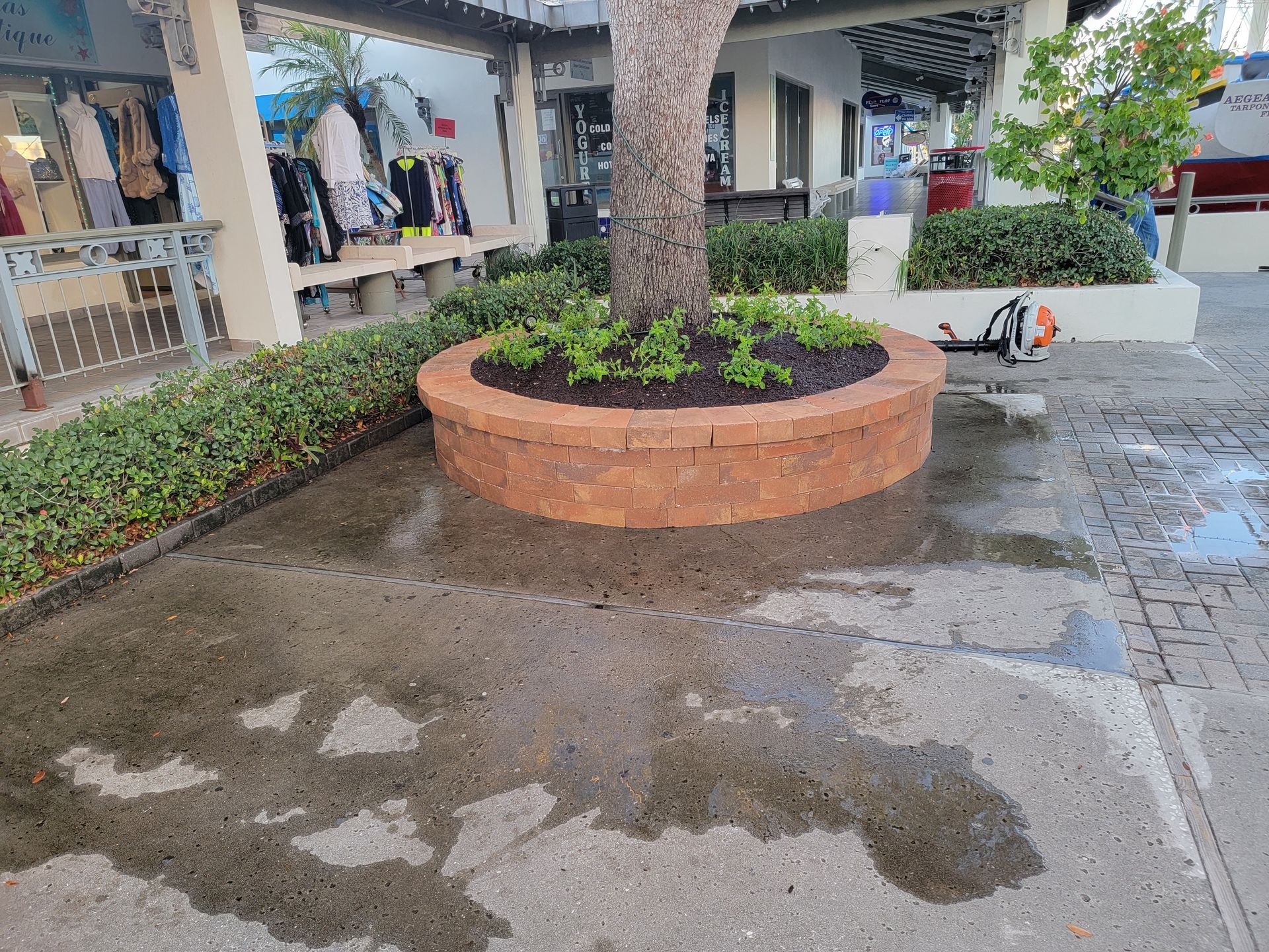 A circular brick planter box surrounds a tree in an outdoor shopping area with wet pavement and a leaf blower nearby.