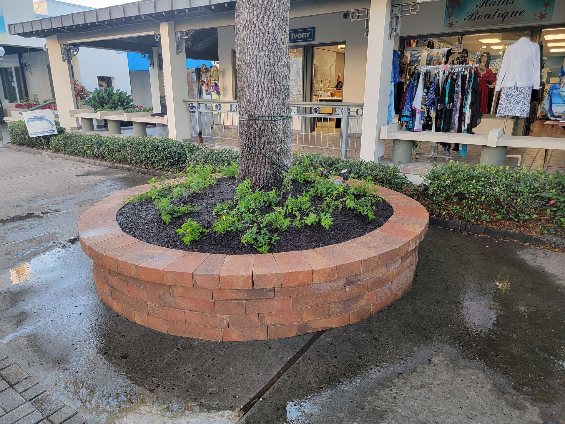 White car's front quarter panel, headlight, and wheel, hood open, parked indoors.