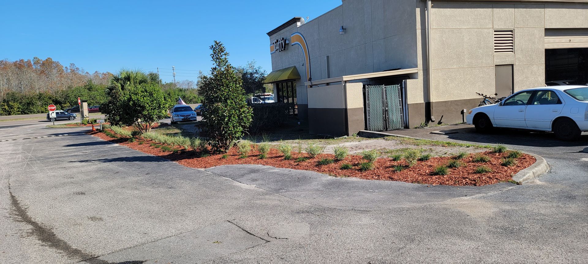 A freshly landscaped garden bed with mulch and small green plants in front of a commercial building and parking lot.