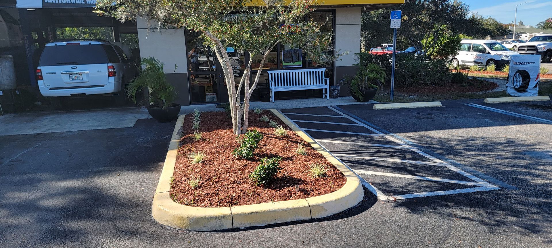 A landscaped island with a tree and shrubs sits in a parking lot next to a building with a white bench.