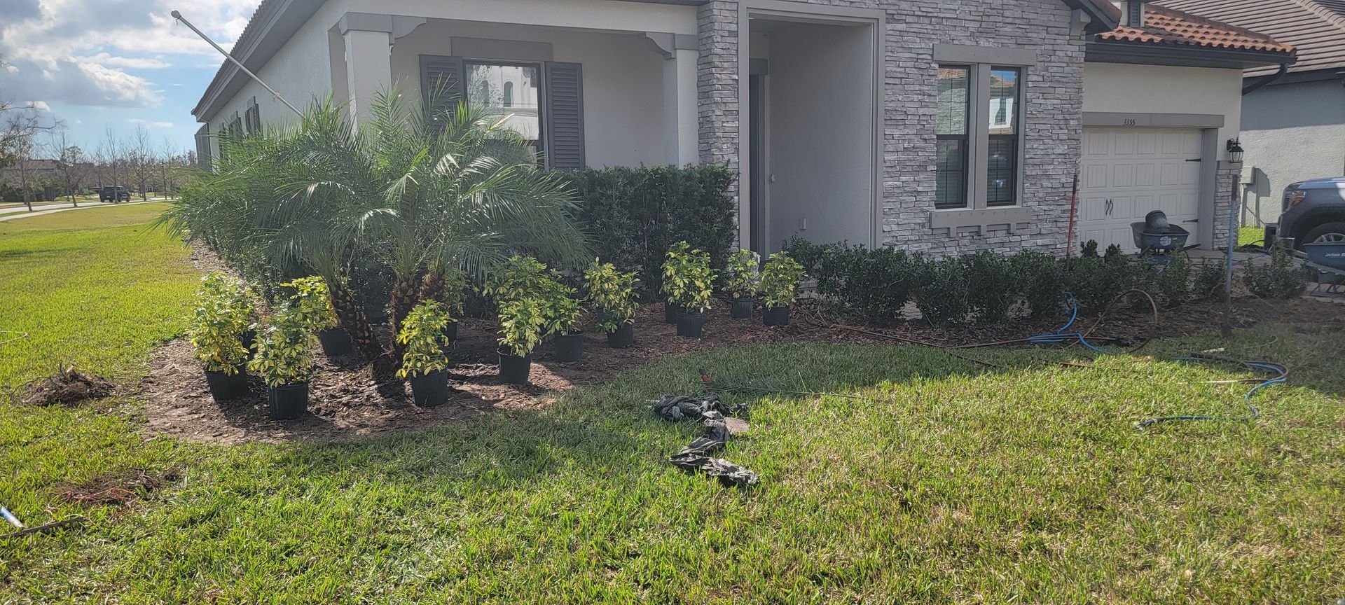 New landscaping with small green shrubs and a palm-like plant newly planted in the mulch bed in front of a stone home.