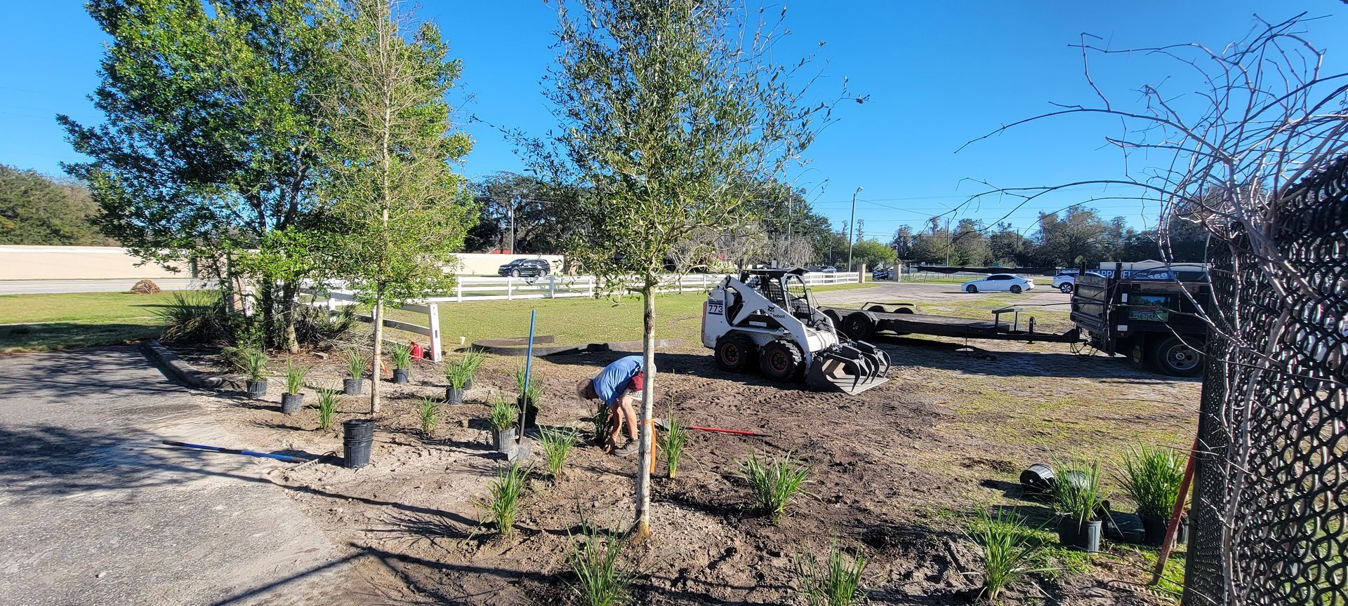 A person planting shrubs in a sunny field next to a small excavator and several potted plants.