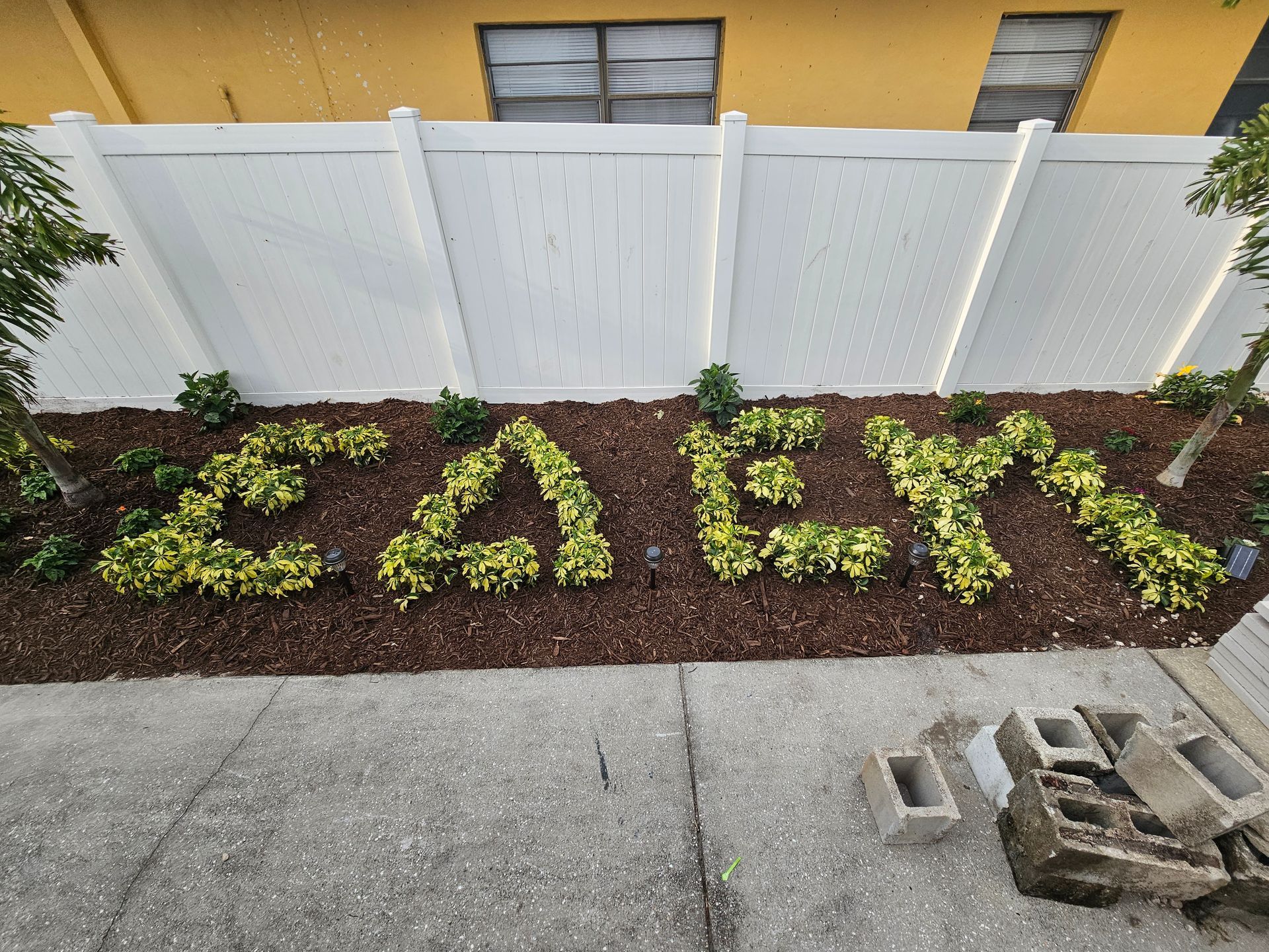 Low-lying plants arranged to spell out 