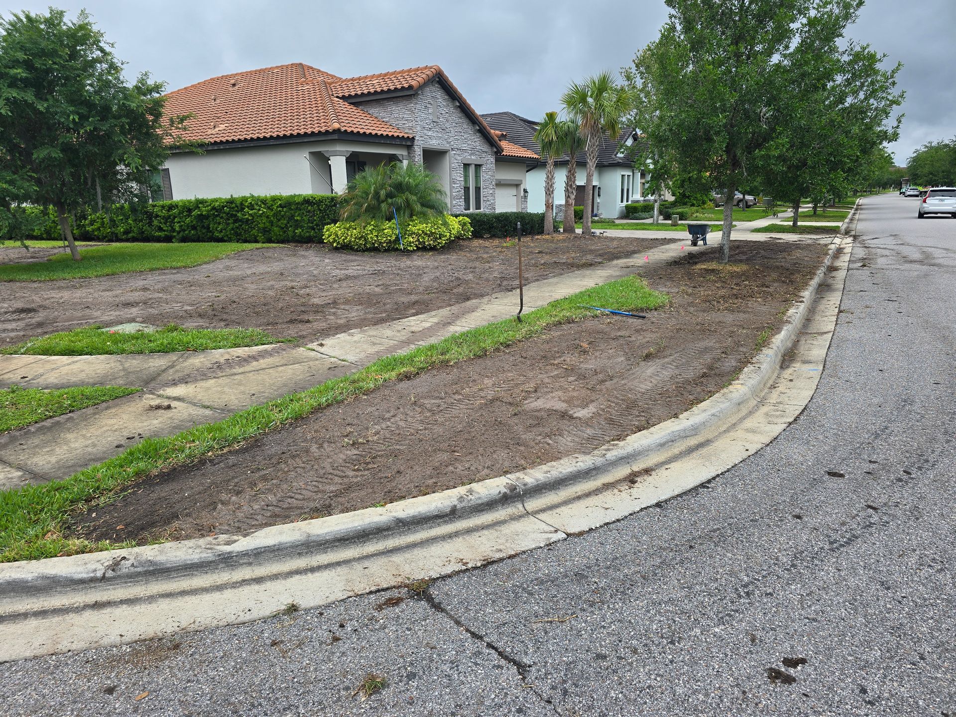 A curved concrete curb borders a suburban yard featuring patchy grass, exposed dirt, scattered trees, and a distant house.