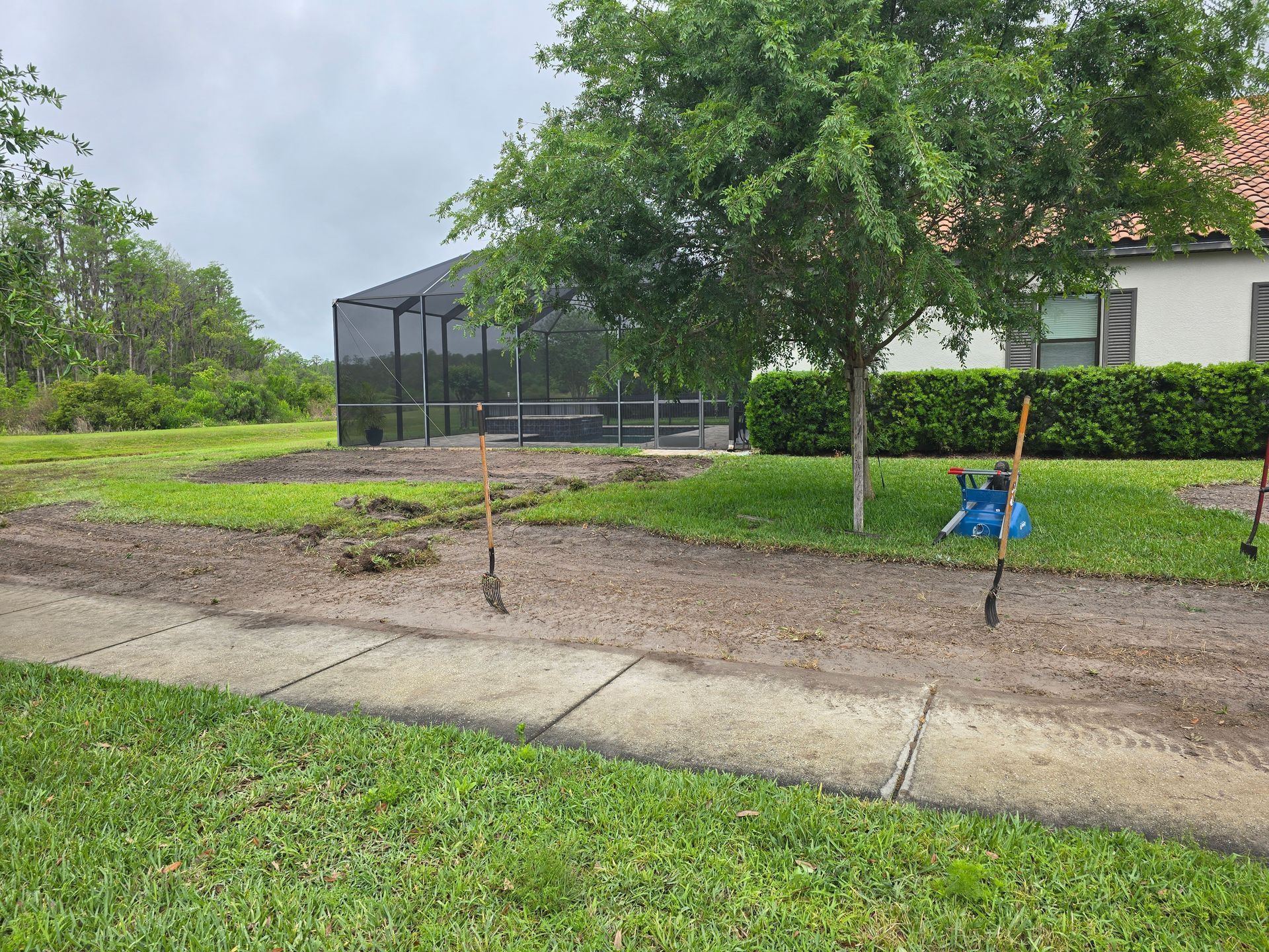 Two shovels stuck upright in the dirt of a residential yard near a sidewalk and a house with a screened-in pool area.
