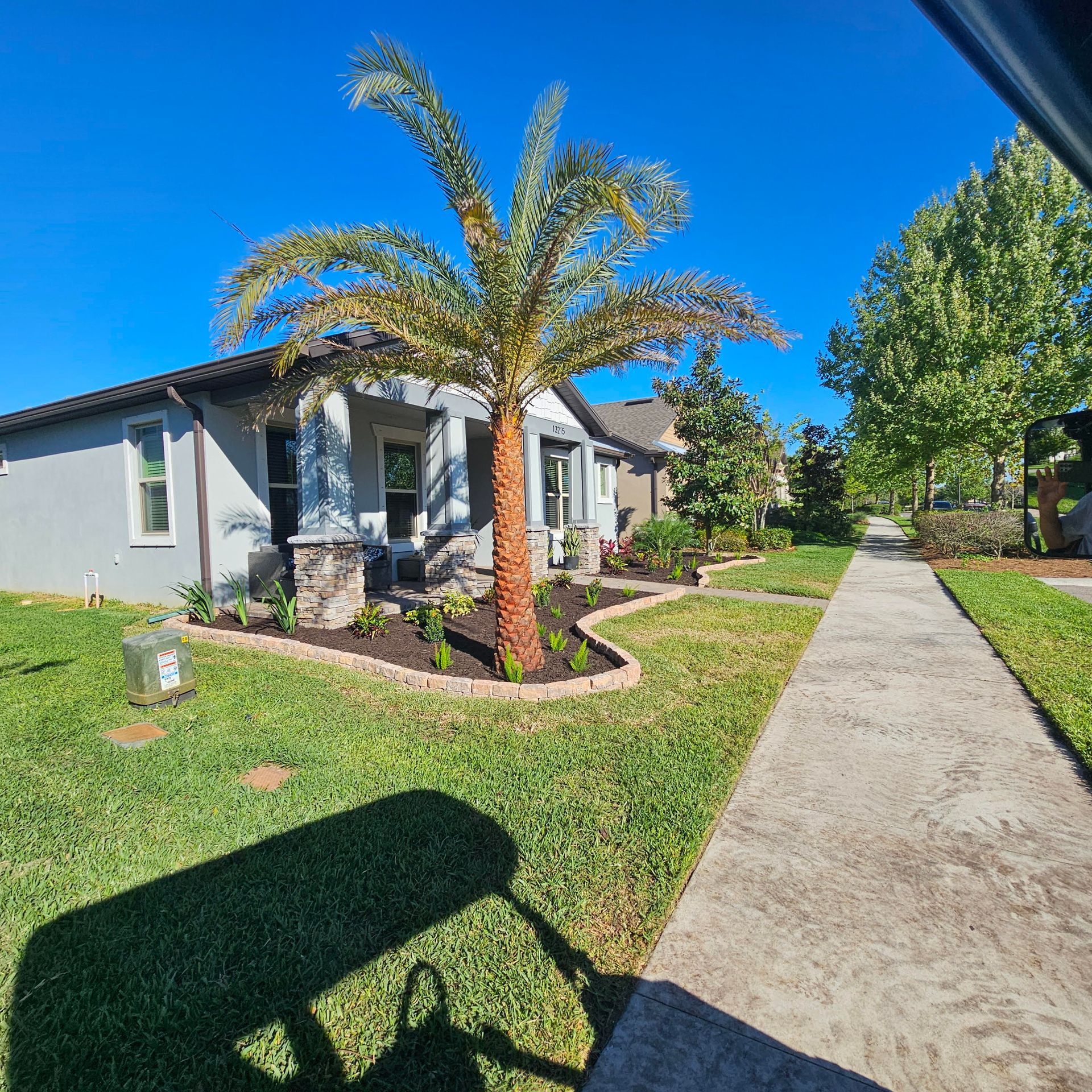 A suburban house with a palm tree in the front garden, bordered by a concrete sidewalk under a clear blue sky.