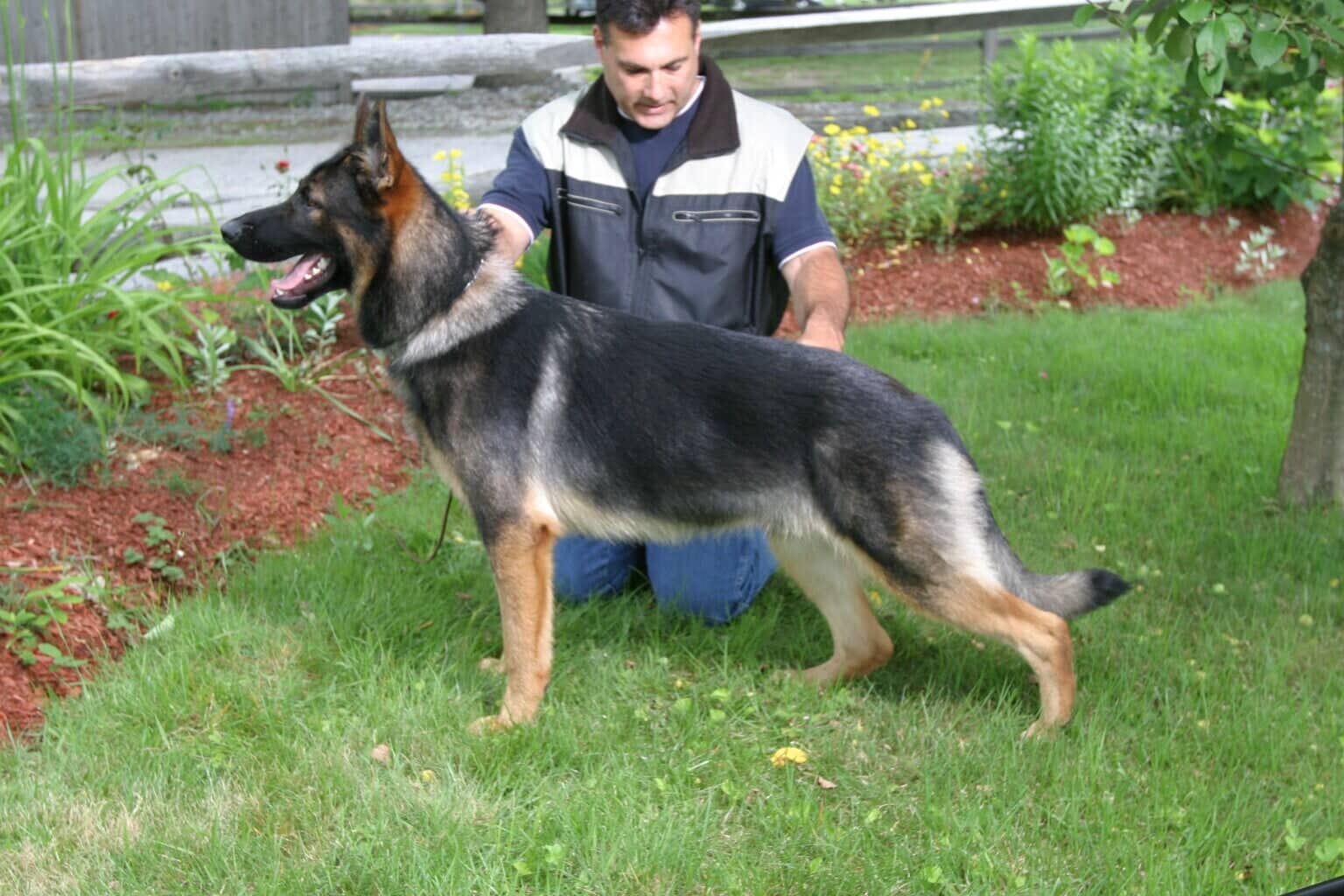 Obedience Training — K9 Dog Training in Amherst, NH