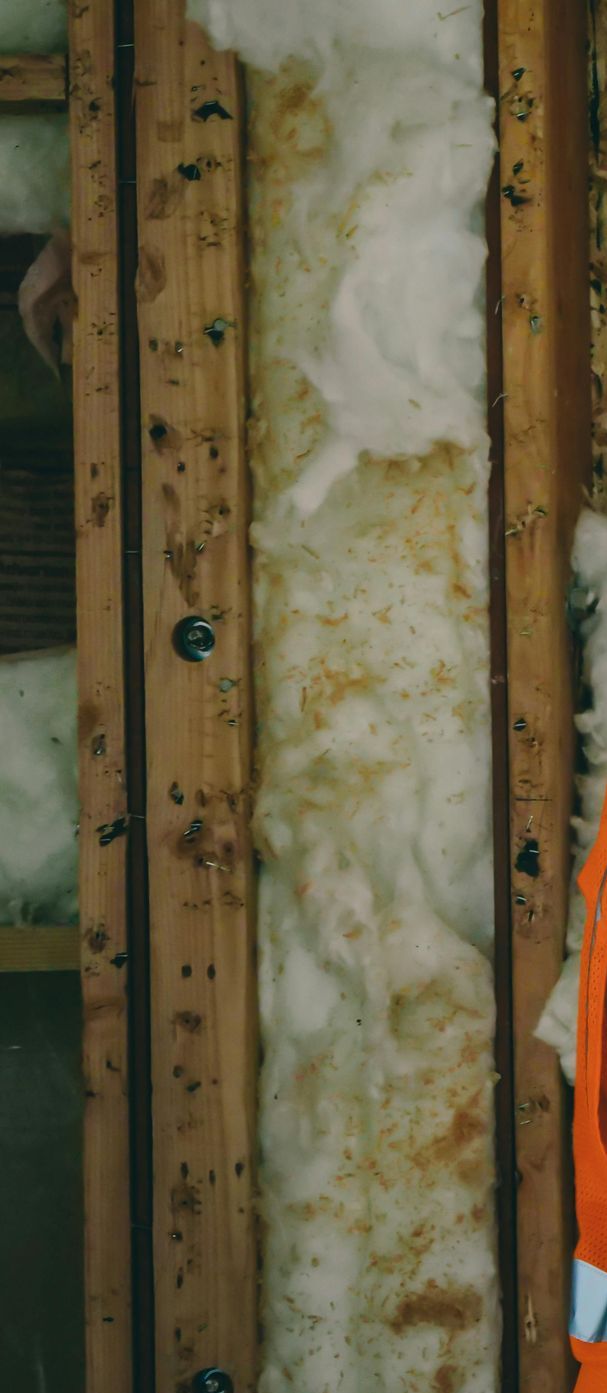 A person is standing in front of a wooden wall with insulation.
