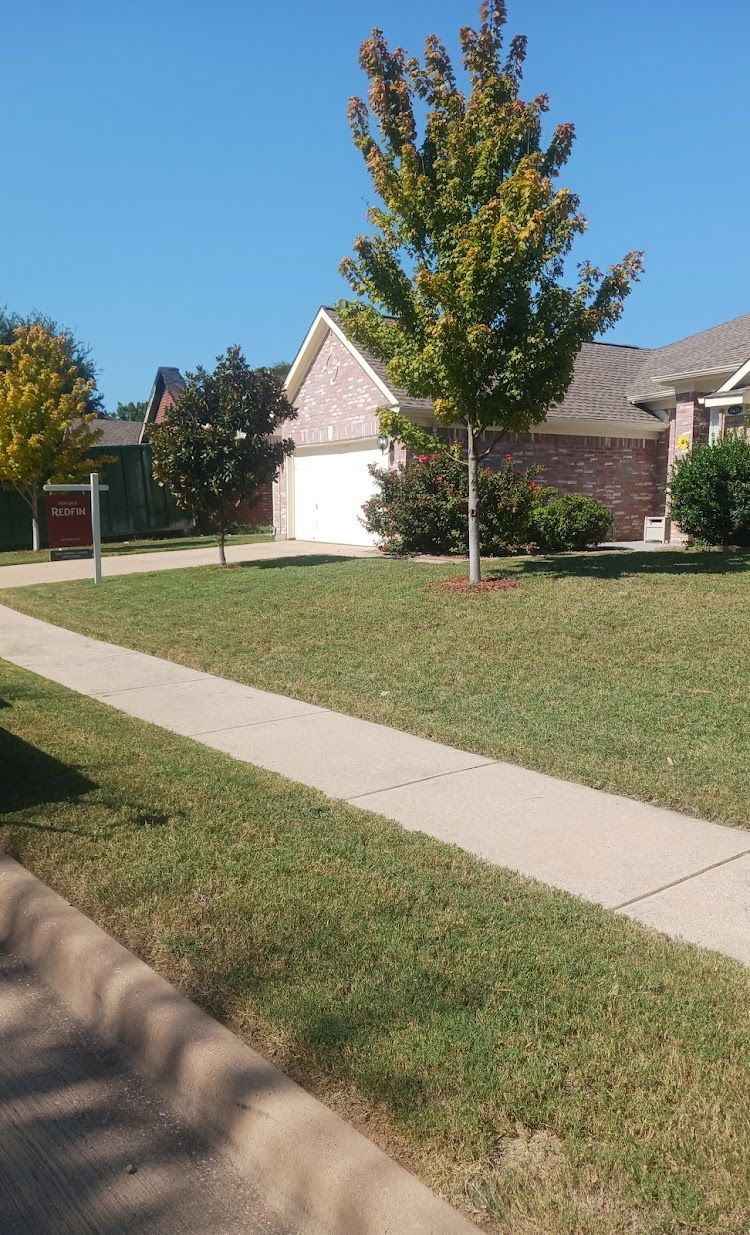 Sidewalk in front of a brick house with a green lawn and tree on a sunny day.