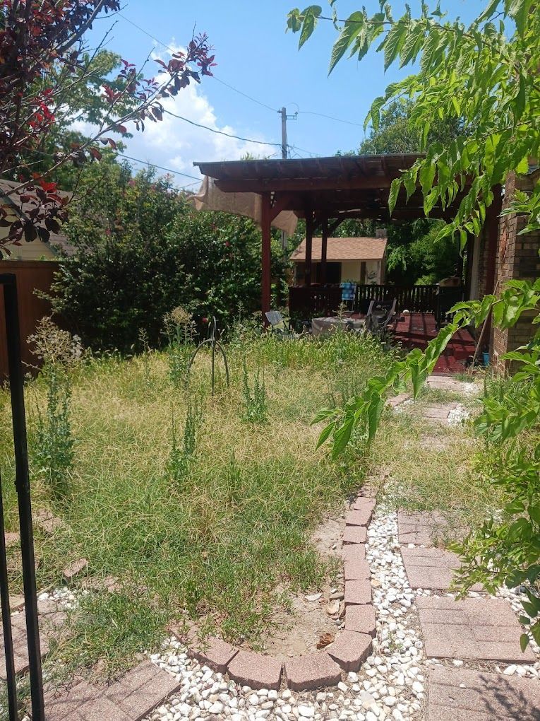 Overgrown backyard with a stone path, pergola, and lush greenery under a blue sky.