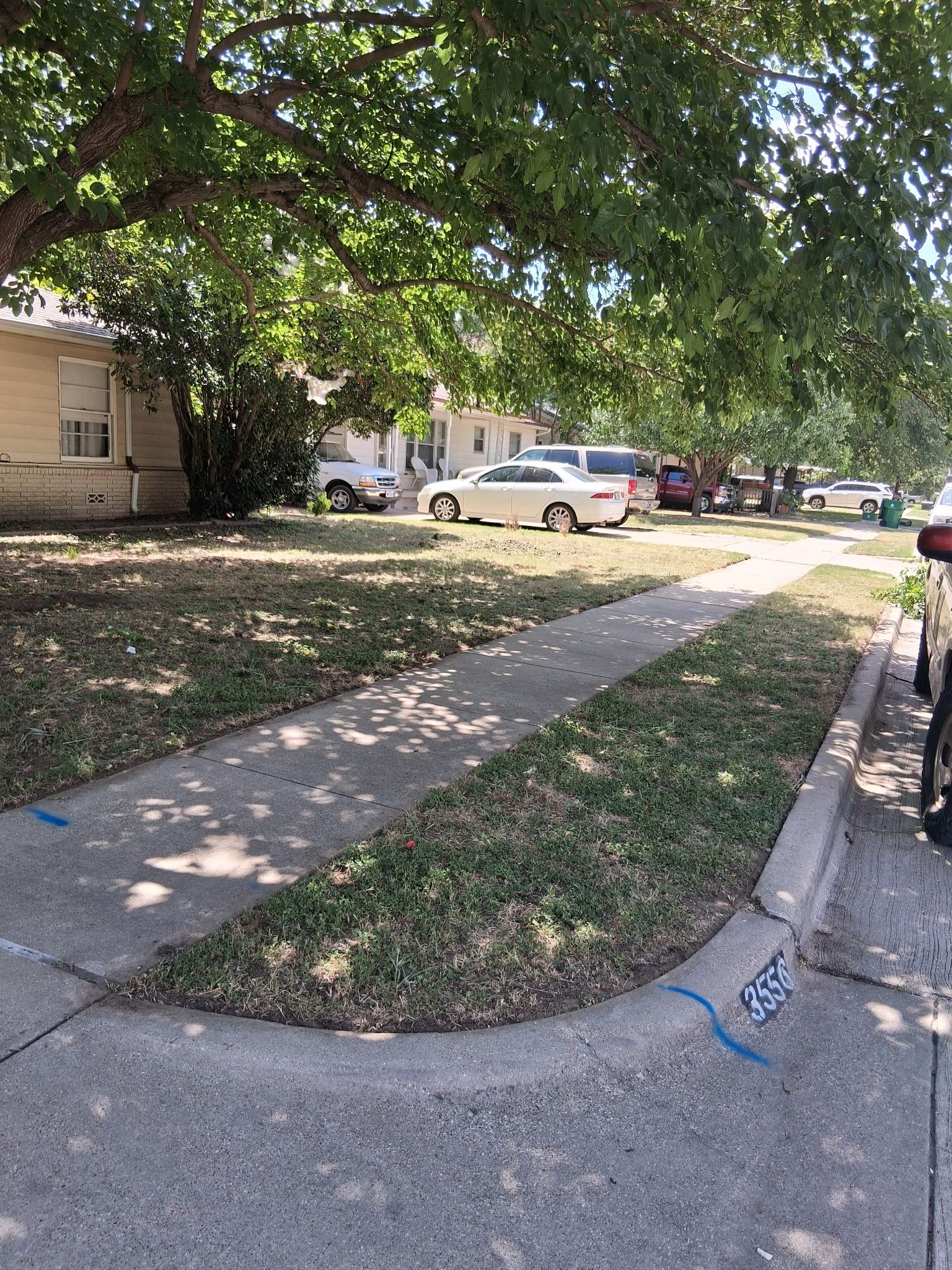 Sidewalk and curb with grass strip, cars parked on street, trees overhead, sunny day.