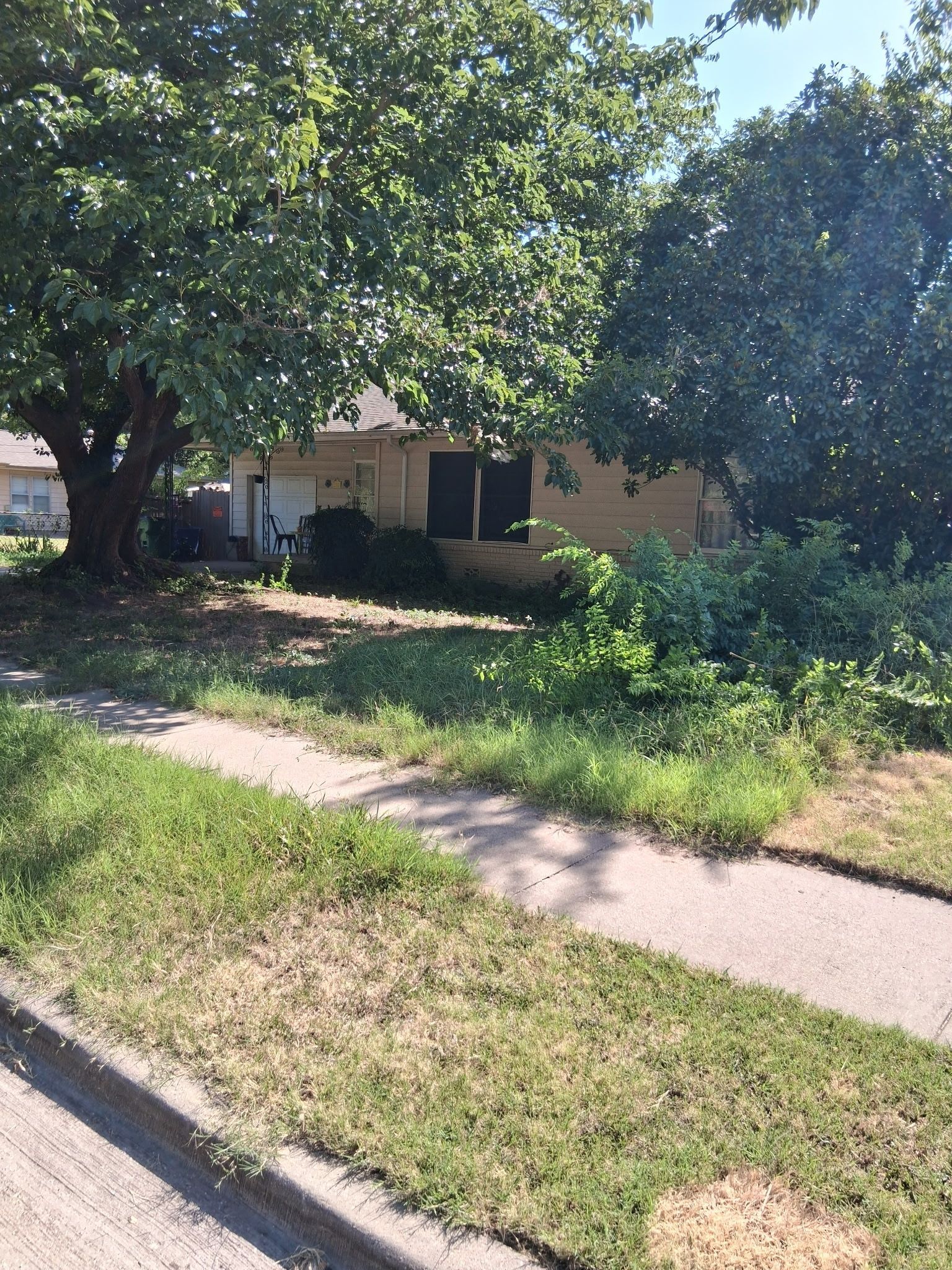 Small beige house obscured by trees and overgrown bushes next to a sidewalk.
