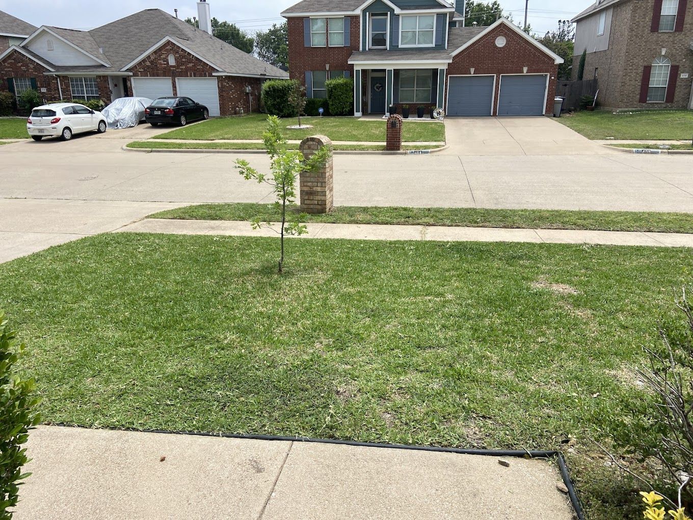 Lawn and mailbox in front of a house. Two-story house in background, cars in driveway. Green grass, blue sky.