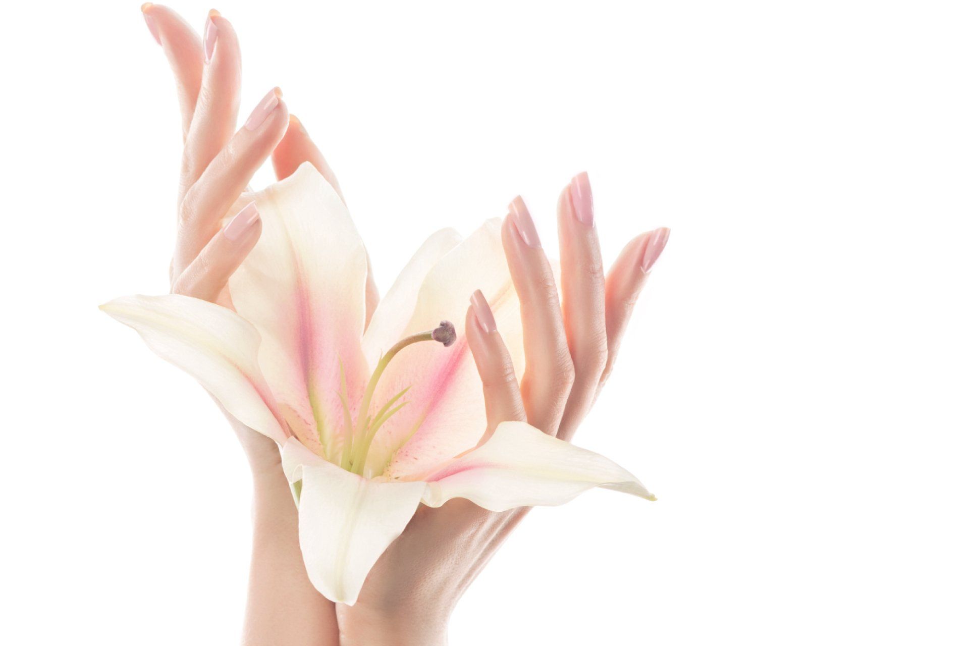 Mani belle come un fiore dopo il trattamento