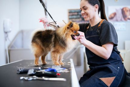 Pet groomer - Pine Bush, NY - JPM Bookkeeping Services