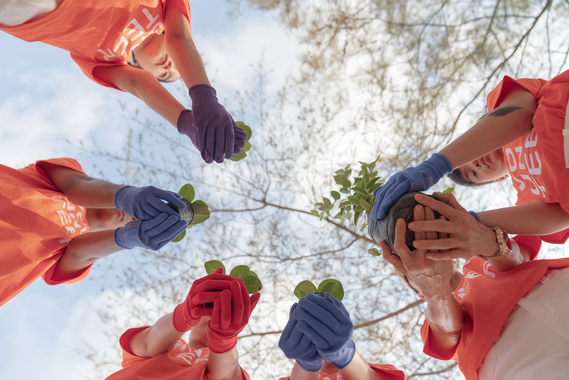 Kennels - Pine Bush, NY - JPM Bookkeeping Services Kennels - Pine Bush, NY - JPM Bookkeeping Services