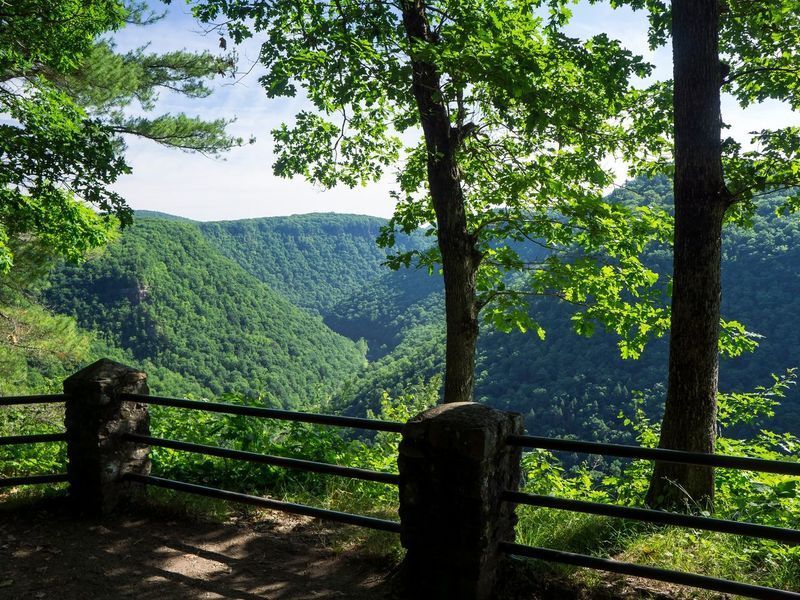 A view of a valley surrounded by trees from a fence.
