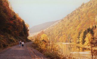 A couple of people are walking down a dirt road next to a river.