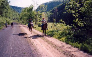 A group of people are riding horses down a dirt road.